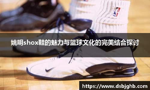 姚明shox鞋的魅力与篮球文化的完美结合探讨